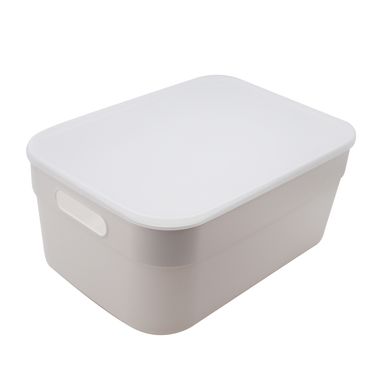 Caja organizadora almacenamiento tapa, Grande, Transparente