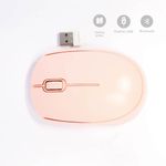 Raton-Inhalambrico-Rosa-2-10459