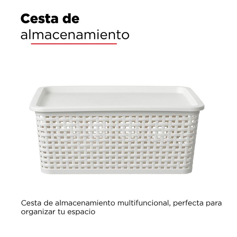 Caja Organizadora Rattan Beige 20Lts - Easy