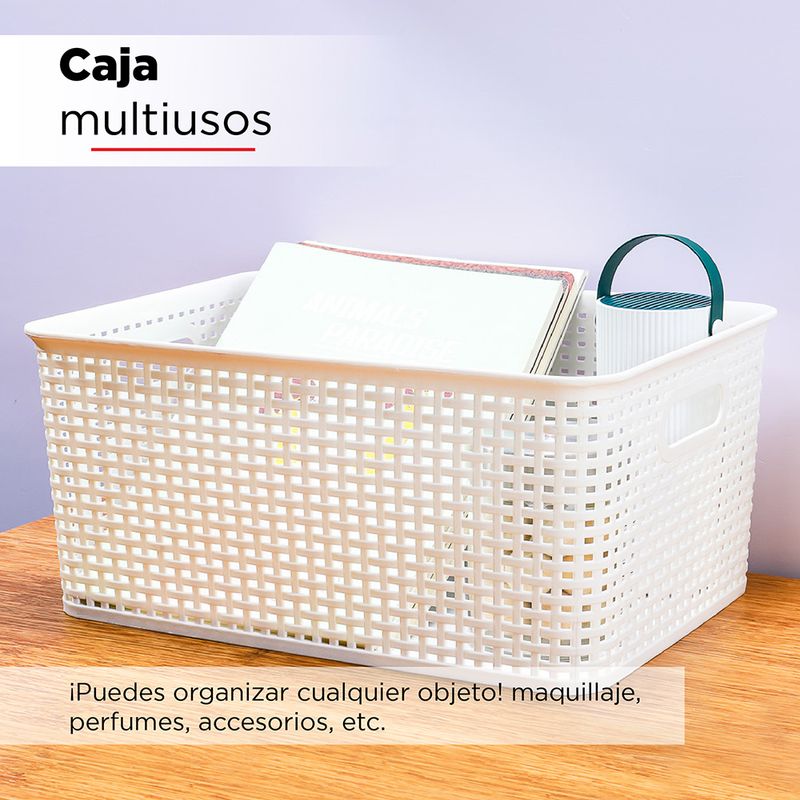 Caja Organizadora Rattan Beige 20Lts - Easy