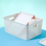 Caja-De-Plastico-Con-Cobertura-L-6-10119