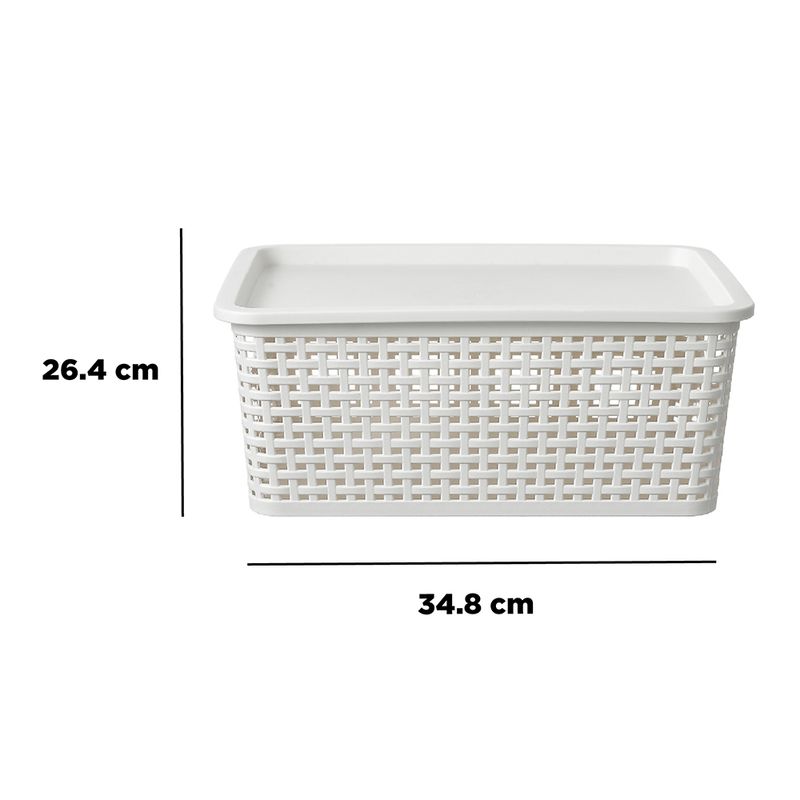 Caja-De-Plastico-Con-Cobertura-L-7-10119