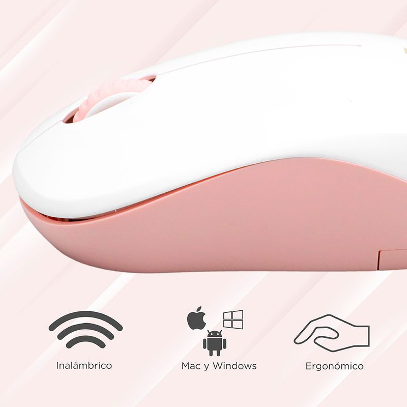 Teclados inalambricos miniso hotsell
