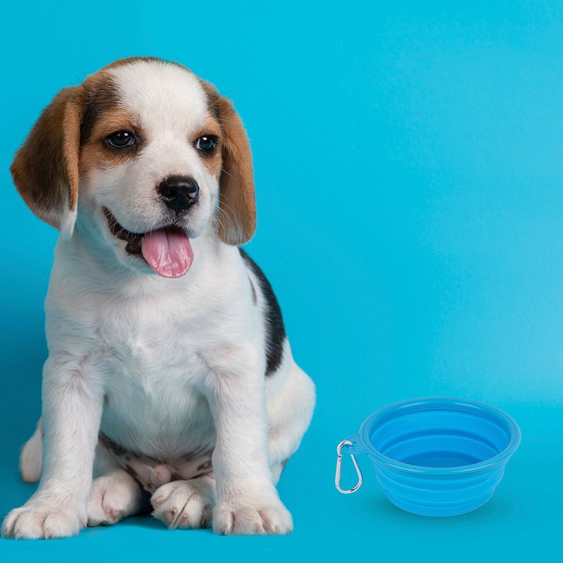 Tazon-Plegable-Portatil-de-Mascota-Pet-Series-Peque-o-Azul-2-13975