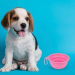 Tazon-Plegable-Portatil-de-Mascota-Pet-Series-Peque-o-Rosa-2-13977