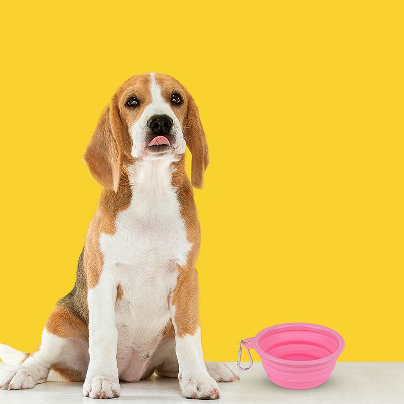 Tazon-Plegable-Portatil-de-Mascota-Pet-Series-Mediano-Rosa-2-13974