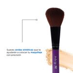 Set-de-Brochas-de-Maquillaje-con-Puntas-Aplicadoras-de-Sombras-de-Ojo-Morado-5-Pzas-5-14747