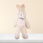 Peluche-de-conejo-con-Mo-o-10-Pulgadas-Peluche-de-conejo-con-Mo-o-10-Pulgadas-2-15564