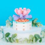 Bloques-Macetas-Plantas-Suculentas-Todavia-No-Son-Amantes-Miniso-2-16313