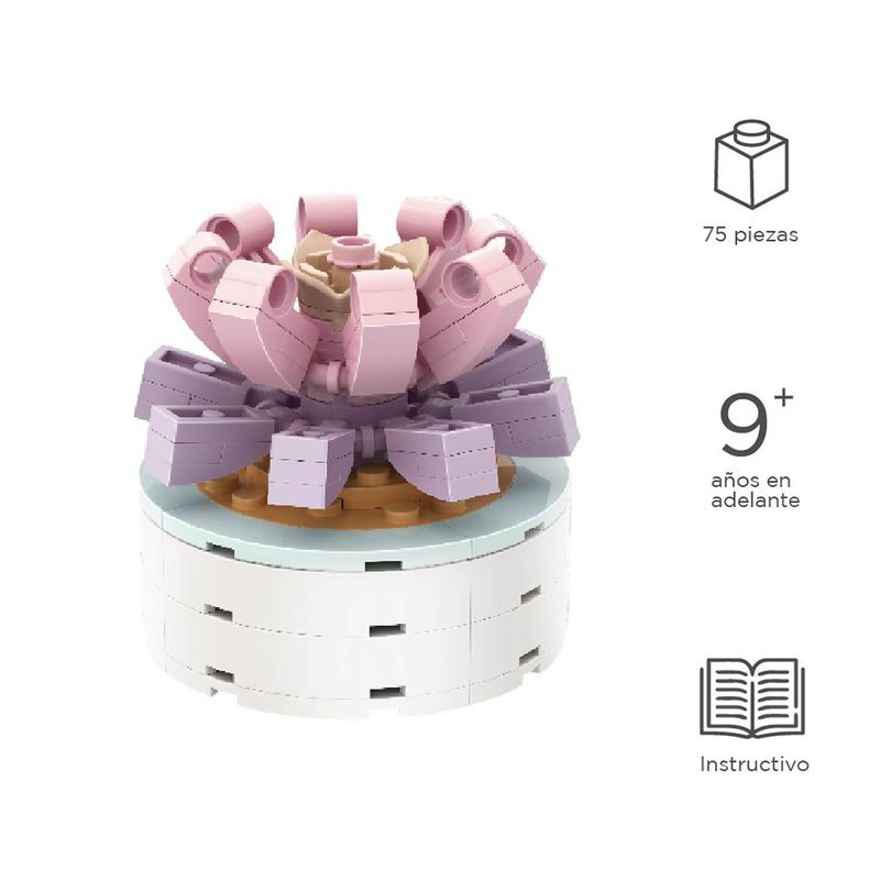 Bloques-Macetas-Plantas-Suculentas-Todavia-No-Son-Amantes-Miniso-3-16313