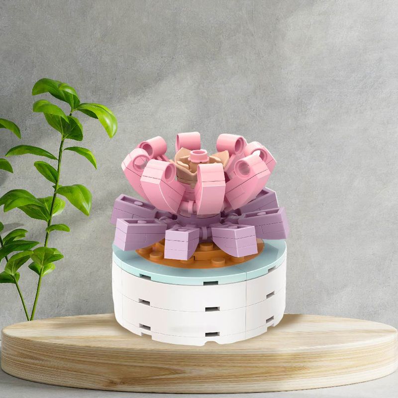 Bloques-Macetas-Plantas-Suculentas-Todavia-No-Son-Amantes-Miniso-5-16313