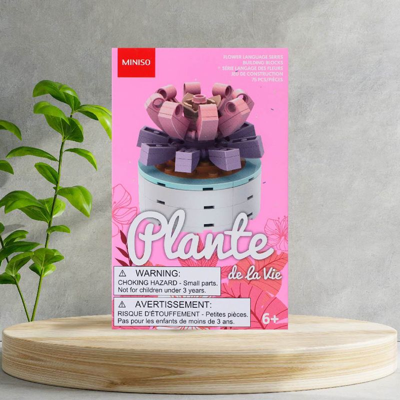 Bloques-Macetas-Plantas-Suculentas-Todavia-No-Son-Amantes-Miniso-6-16313