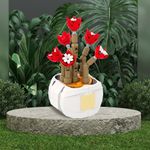 Bloques-Macetas-Plantas-Suculentas-Rosas-con-Margaritas-Miniso-2-16277