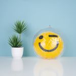 Accion-y-deporte-Serie-de-Colores-Pelota-con-Smiley-Miniso-4-16551
