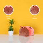Peluche-Mini-Family-Safari-Series-Insectos-Escarabajo-Naranja-Miniso-5-16499
