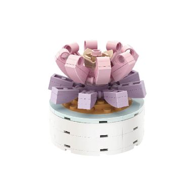 Bloques Macetas Plantas Suculentas Todavia No Son Amantes Miniso