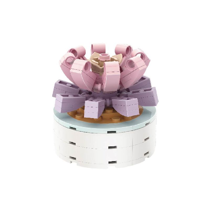 Bloques-Macetas-Plantas-Suculentas-Todavia-No-Son-Amantes-Miniso-1-16313