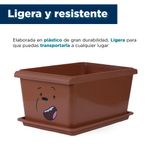 Caja-de-Almacenamiento-con-Tapa-Colecci-n-Osos-Escandalosos-5-0-Oso-Pardo-4-17442