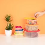 Recipientes-de-Alimentos-de-la-Serie-Rainbow-6-Pzas-6-18112