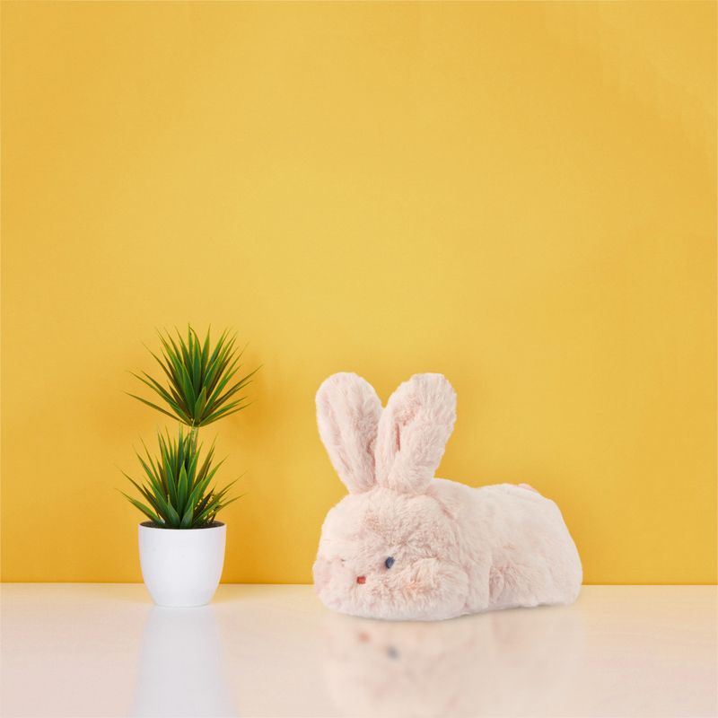 Conejo de online miniso