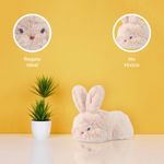Peluche-Conejito-Rosa-Miniso-6-18233