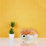 Peluche-Shiba-Inu-Miniso-2-18235