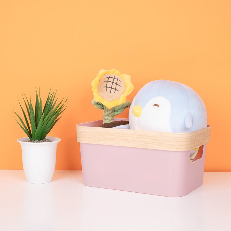Organizador-de-Almacenamiento-de-Plastico-S-Rosa-2-18121