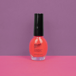 Esmalte-de-U-as-a-Base-de-aceite-de-Ne-n-02-2-18575