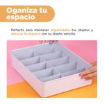 Organizador-de-Plastico-de-Ropa-Interior-de-10-Celdas-Gris-4-21615
