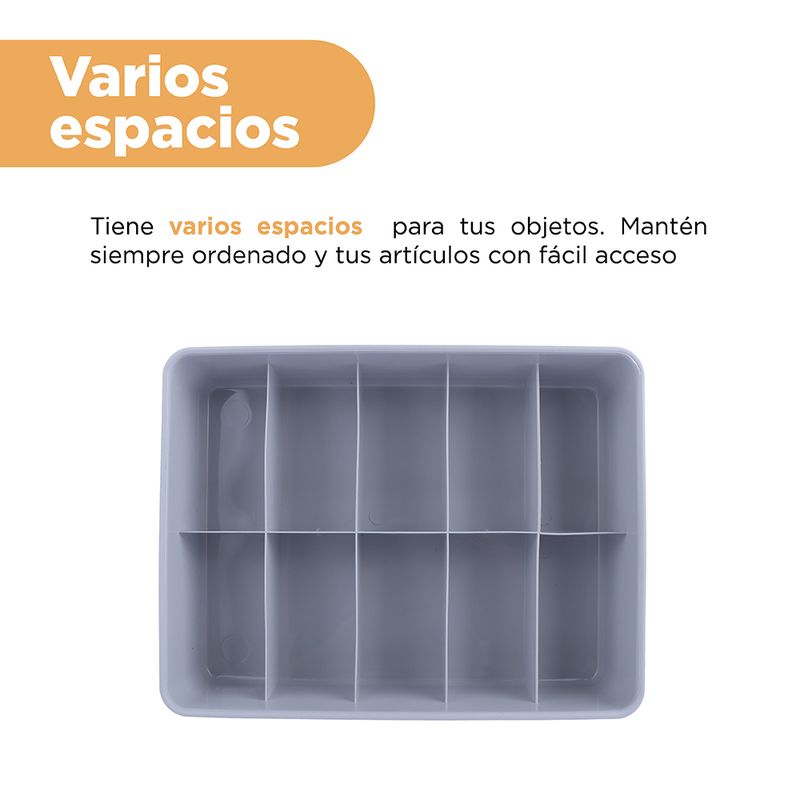 Organizador-de-Plastico-de-Ropa-Interior-de-10-Celdas-Gris-5-21615
