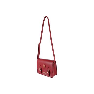 Bolso Estilo Preppy  Serie Harry Potter Gryffindor