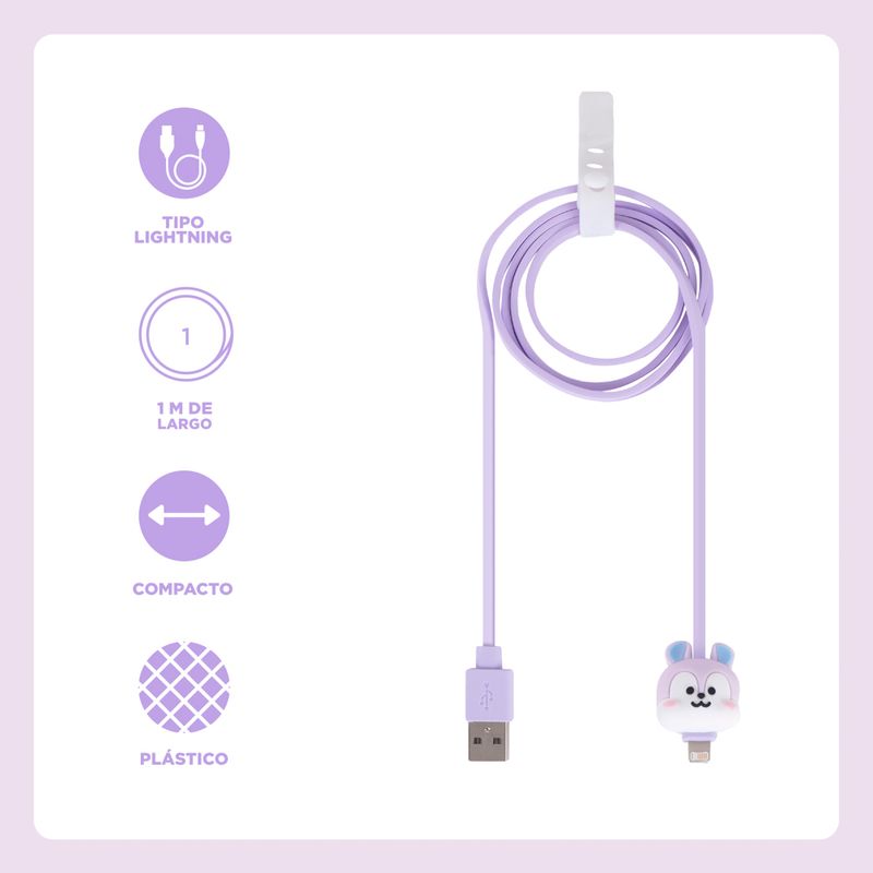 Cable-de-Carga-y-Datos-8Pin-Serie-Bt21-Mang-3-23196
