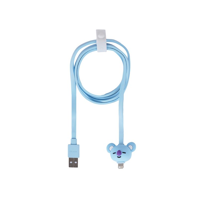 Cable-de-Carga-y-Datos-8Pin-Serie-Bt21-Koya-1-23192