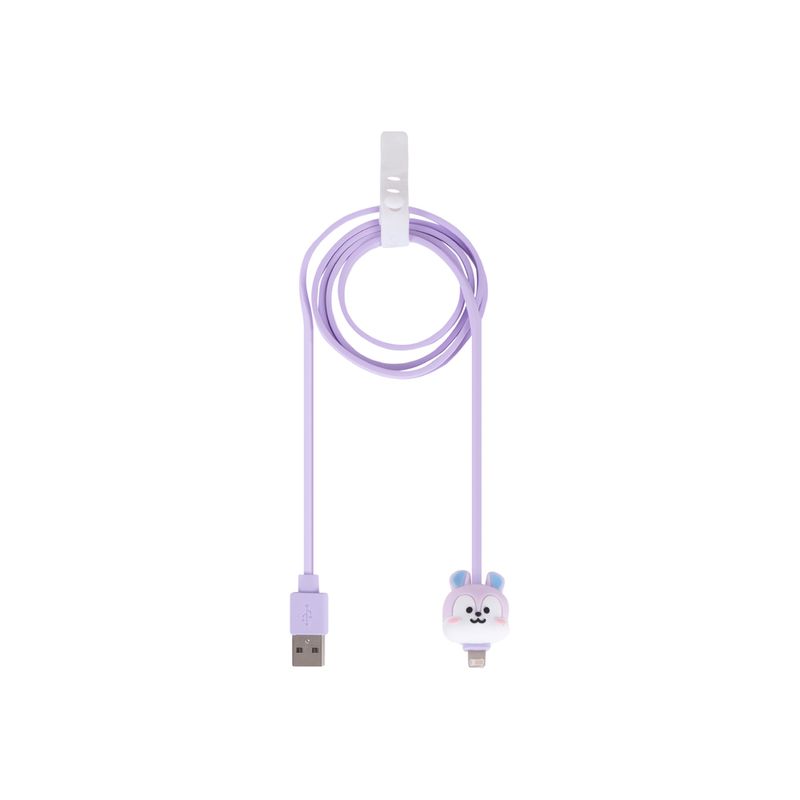 Cable-de-Carga-y-Datos-8Pin-Serie-Bt21-Mang-1-23196