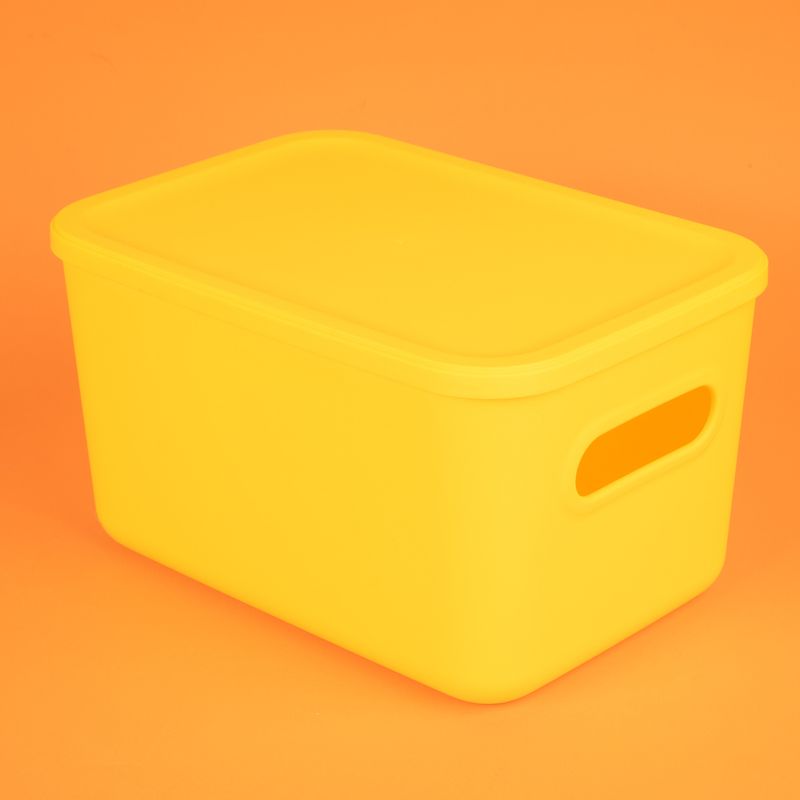 Organizador-Plastico-cpn-Tapa-Serie-Rainbow-L-Amarillo-3-23927