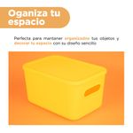 Organizador-Plastico-cpn-Tapa-Serie-Rainbow-L-Amarillo-5-23927
