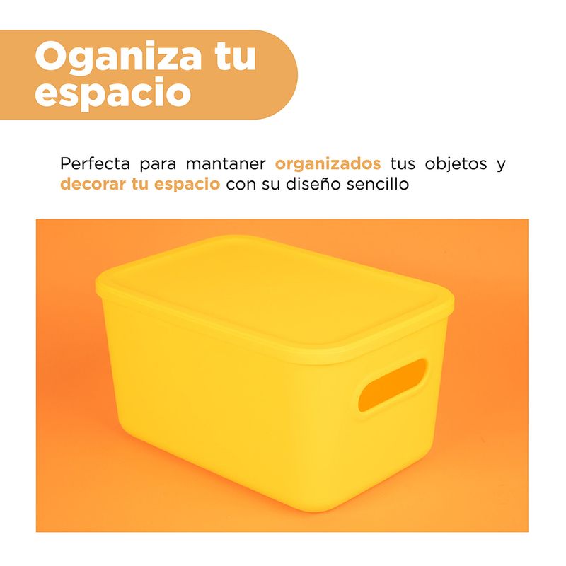 Organizador-Plastico-cpn-Tapa-Serie-Rainbow-L-Amarillo-5-23927