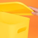 Organizador-Plastico-cpn-Tapa-Serie-Rainbow-L-Amarillo-7-23927