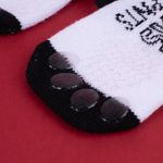 Medias-Grandes-para-Mascotas-3D-Serie-Snoopy-5-24014