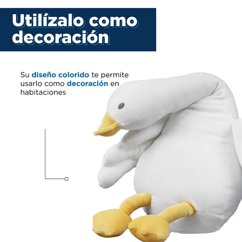 2011346910104-6.jpg