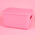 Organizador-Plastico-de-Almacenamiento-con-Tapa-Serie-Rainbow-L-Rosa-3-24581