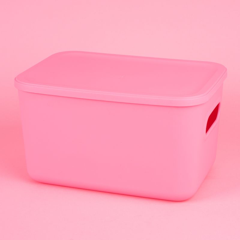 Organizador-Plastico-de-Almacenamiento-con-Tapa-Serie-Rainbow-L-Rosa-3-24581
