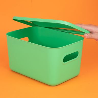Organizador Plastico de Almacenamiento con Tapa Serie Rainbow L Verde