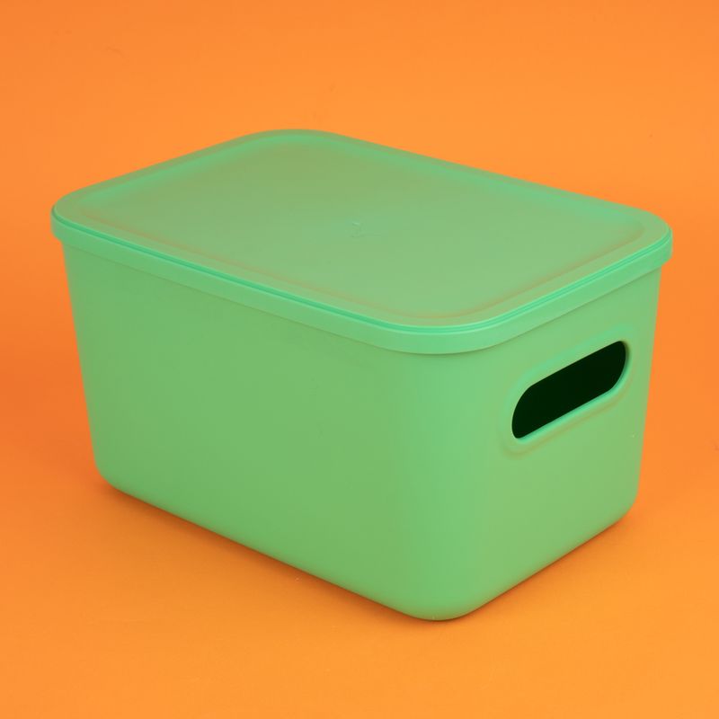Organizador-Plastico-de-Almacenamiento-con-Tapa-Serie-Rainbow-L-Verde-3-24582