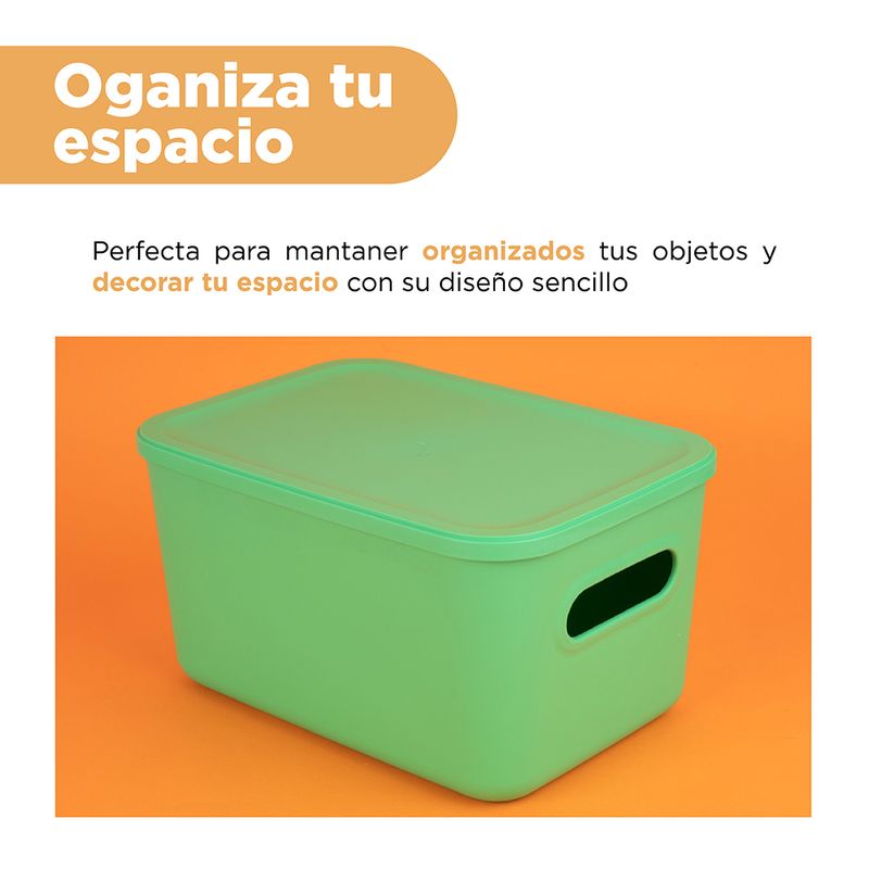 Organizador-Plastico-de-Almacenamiento-con-Tapa-Serie-Rainbow-L-Verde-5-24582