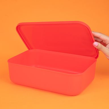 Organizador Plastico de Almacenamiento con Tapa Serie Rainbow S Rojo