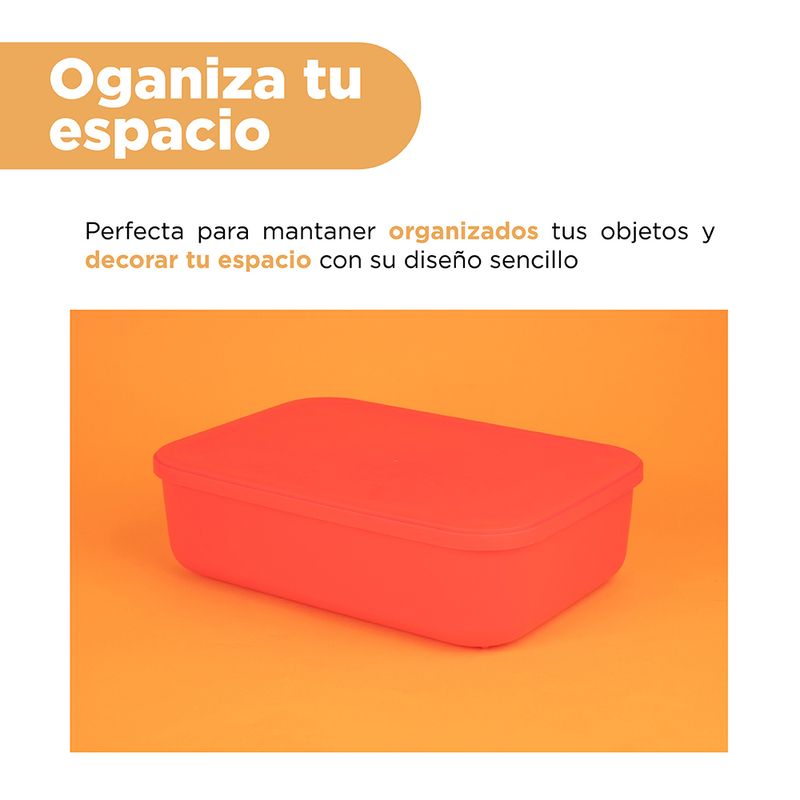 Organizador-Plastico-de-Almacenamiento-con-Tapa-Serie-Rainbow-S-Rojo-4-24585