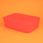 Organizador-Plastico-de-Almacenamiento-con-Tapa-Serie-Rainbow-S-Rojo-5-24585