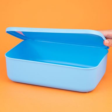 Organizador Plastico de Almacenamiento con Tapa Serie Rainbow S Azul