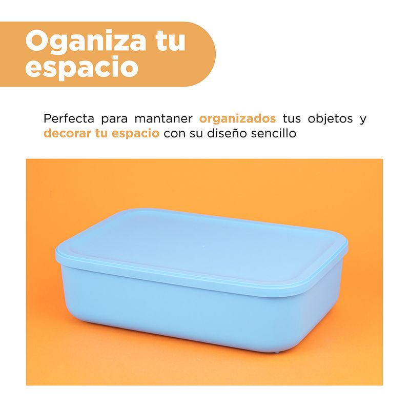 Organizador-Plastico-de-Almacenamiento-con-Tapa-Serie-Rainbow-S-Azul-5-24587